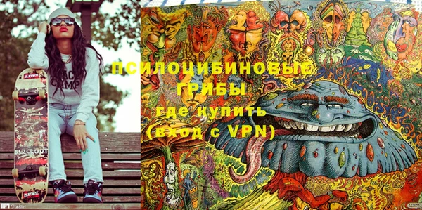 амф Абинск