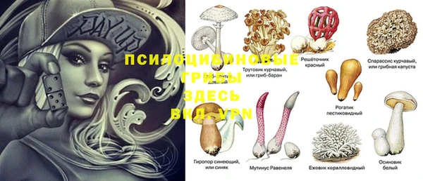 амф Абинск