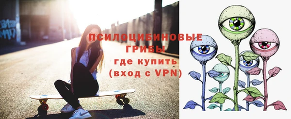 дмт Кукмор