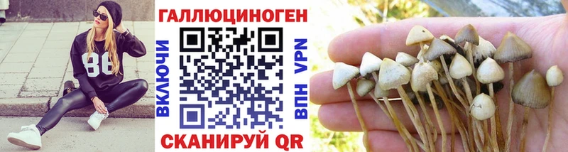купить наркоту мега вход Псилоцибиновые грибы GOLDEN TEACHER Тотьма